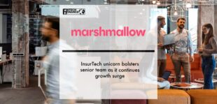 InsurTech unicorn Marshmallow bolsters senior team as it continues growth surge | Fintech Finance