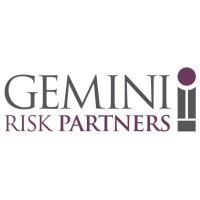 Gemini Risk Partners | Fintech Finance