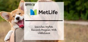 MetLife Pet Insurance Launches MyPets Rewards Program With LifeBalance | Fintech Finance