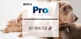 Pro MGA Global Solutions to Provide Incubator Platform for Pet Proactive Limited | Fintech Finance