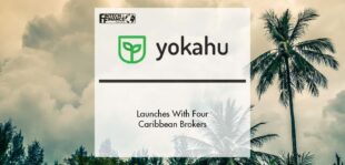 Yokahu Launches With Four Caribbean Brokers | Fintech Finance