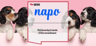 Pet insurtech Napo lands £15m investment | FF News