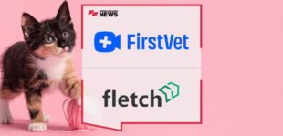 FirstVet Partners with Fletch to Enable a Pet Insurance Marketplace
