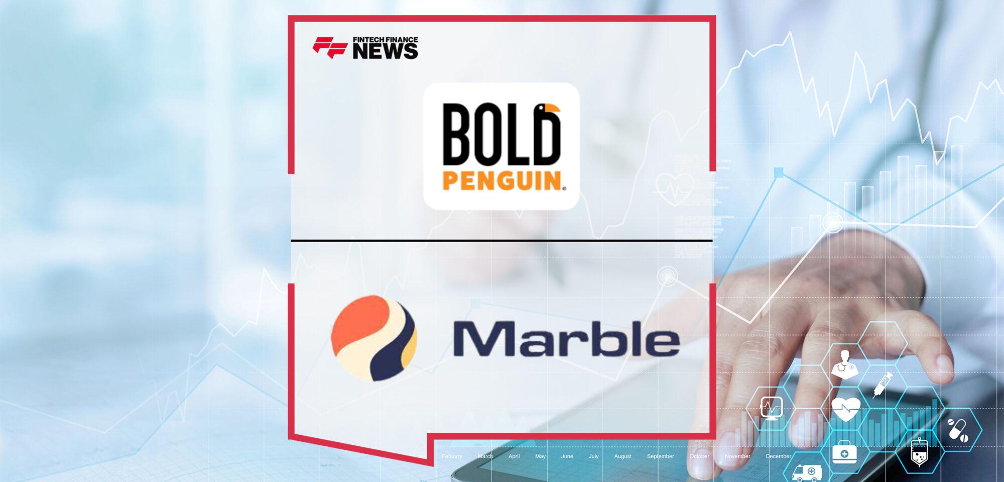Bold Penguin’s Digital Solutions Empower SMB Adjacent Partners