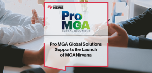 Pro MGA Nirvana