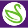 Green Swan Compliance